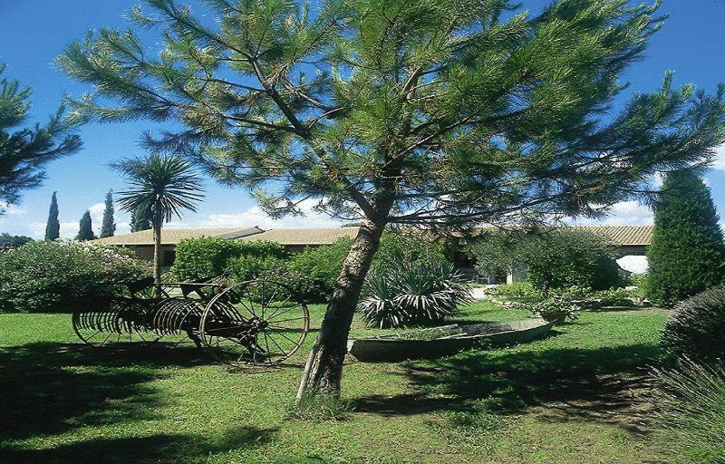 מלון Saint-Laurent-dʼAigouze Lou Garbin מראה חיצוני תמונה